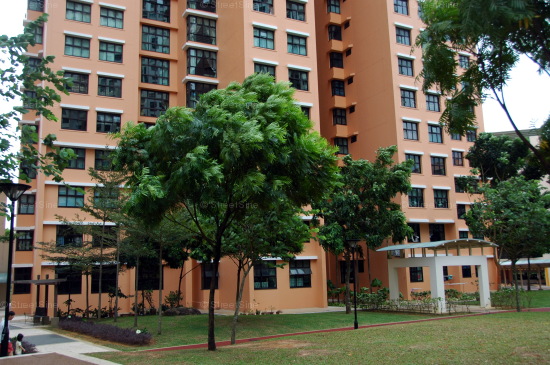 Blk 627 Senja Road (Bukit Panjang), HDB 5 Rooms #214552